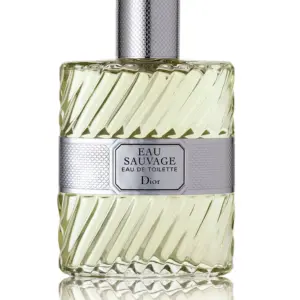 DIOR Eau Sauvage Eau de Toilette 100ml