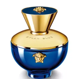 Versace Dylan Blue Pour Femme Eau de Parfum 100ml